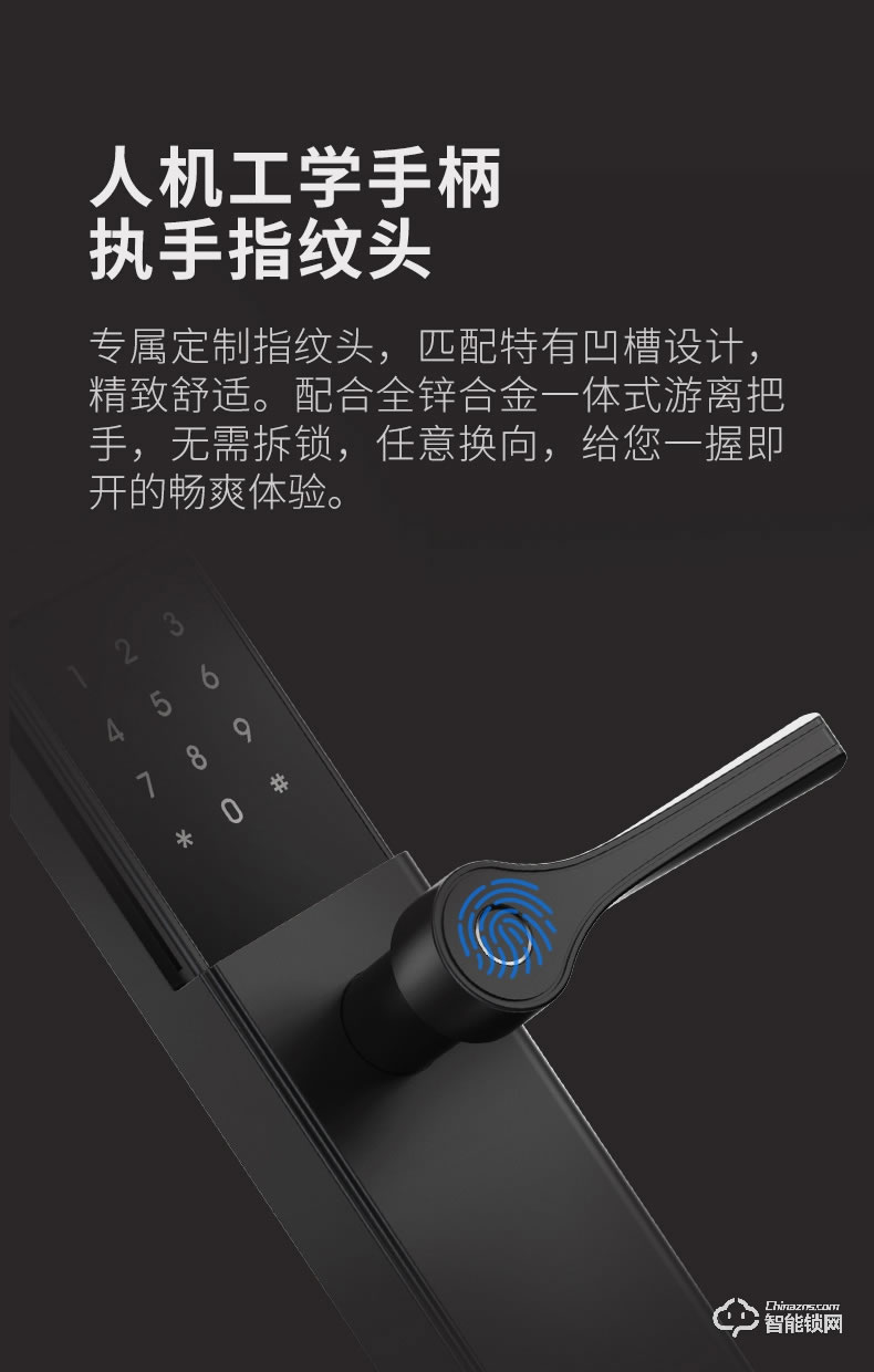 德施曼智能锁 T91P家用防盗门智能锁电子密码锁