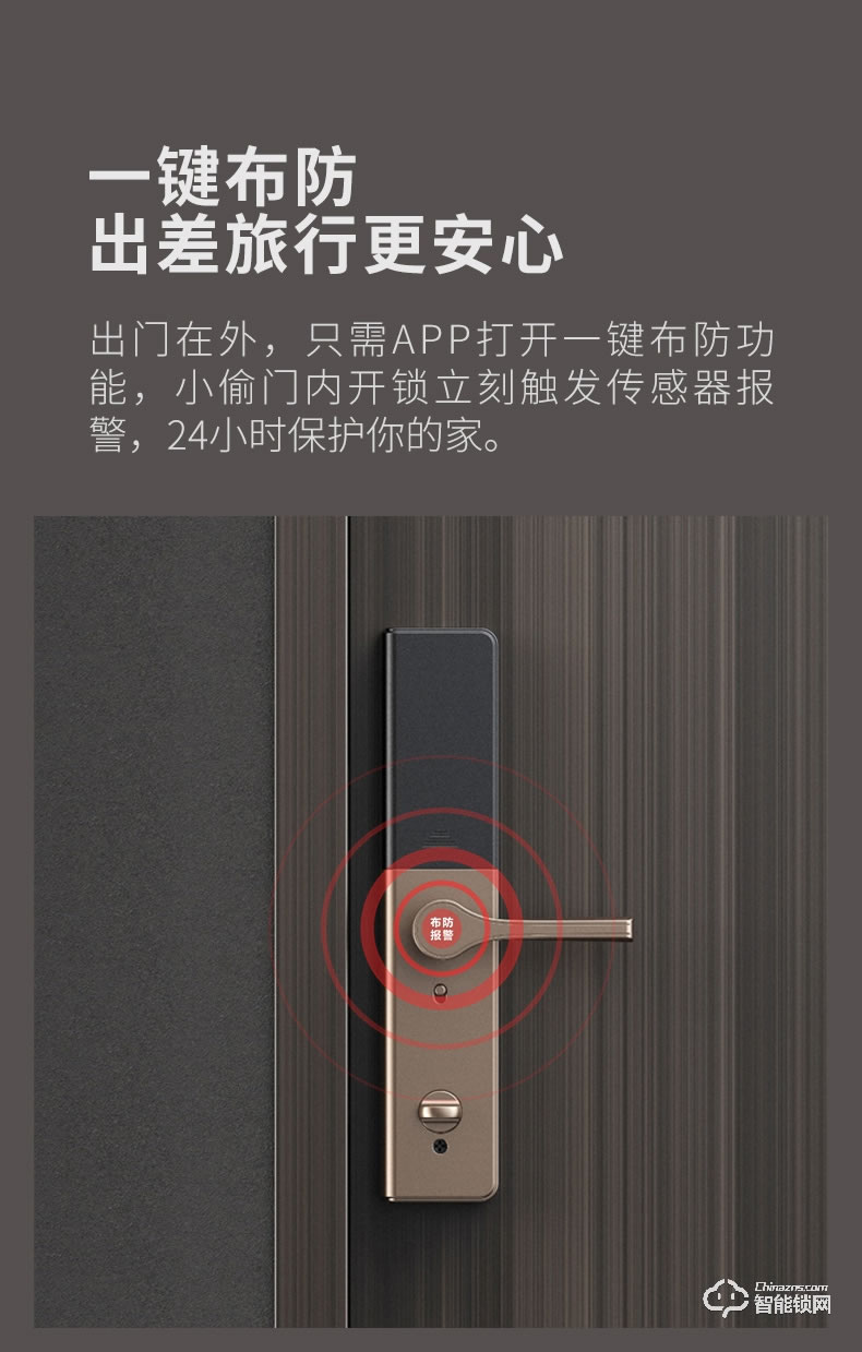 德施曼智能锁 T91P家用防盗门智能锁电子密码锁