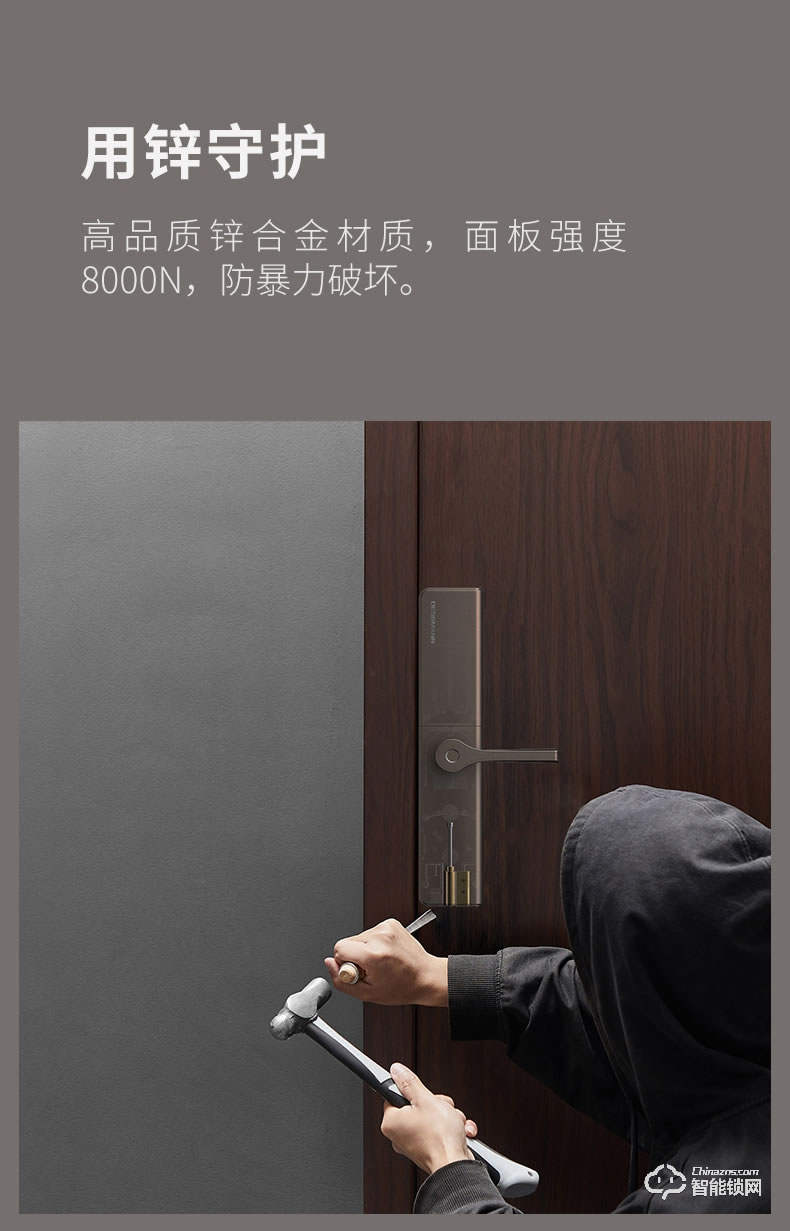 德施曼智能锁 T91P家用防盗门智能锁电子密码锁