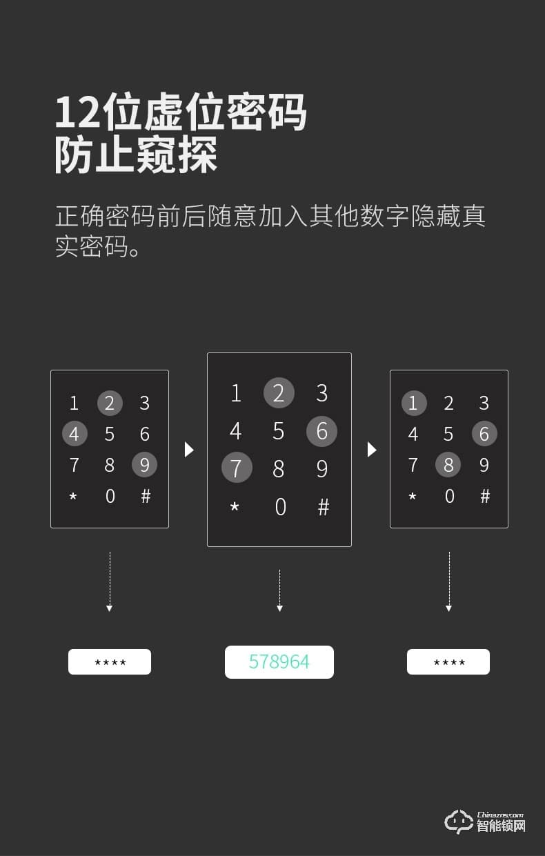 德施曼智能锁 T91P家用防盗门智能锁电子密码锁