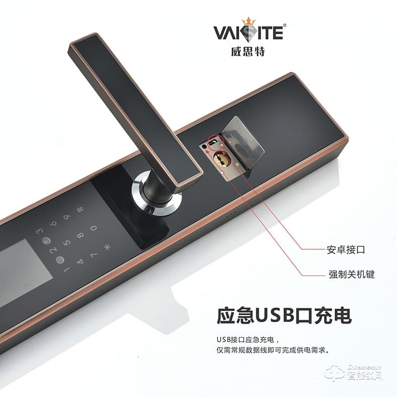 威思特智能锁 N5人脸识别智能锁