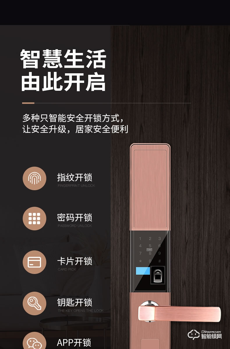 巴奈特智能锁 807家用防盗门智能锁
