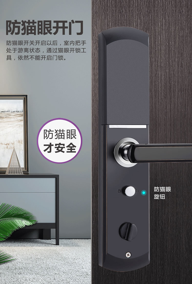 巴奈特智能锁 D6家用防盗门电子锁自