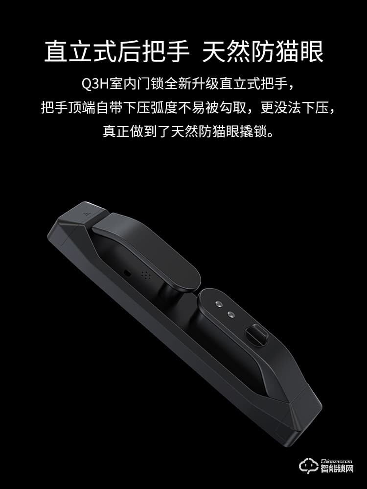德施曼智能锁 Q3H家用防盗门全自动智能锁