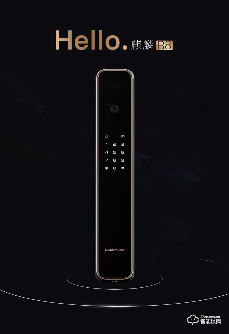 德施曼智能锁 R8家用3D人脸智能视频锁