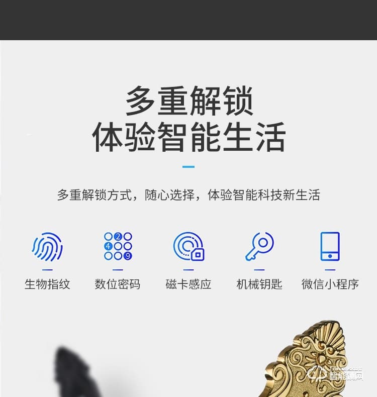 乐固智能锁 F2大拉手豪华别墅式智能锁