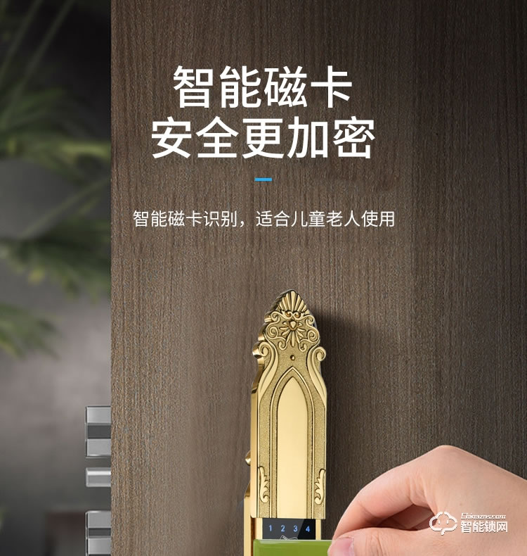 乐固智能锁 F2大拉手豪华别墅式智能锁