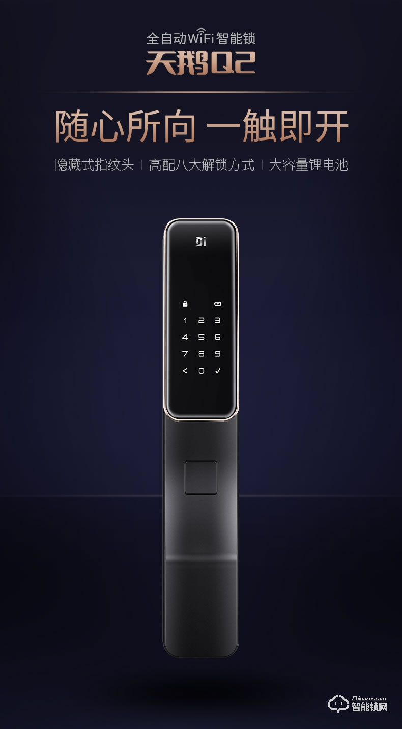 德施曼智能锁 天鹅Q2全自动WiFi智能锁