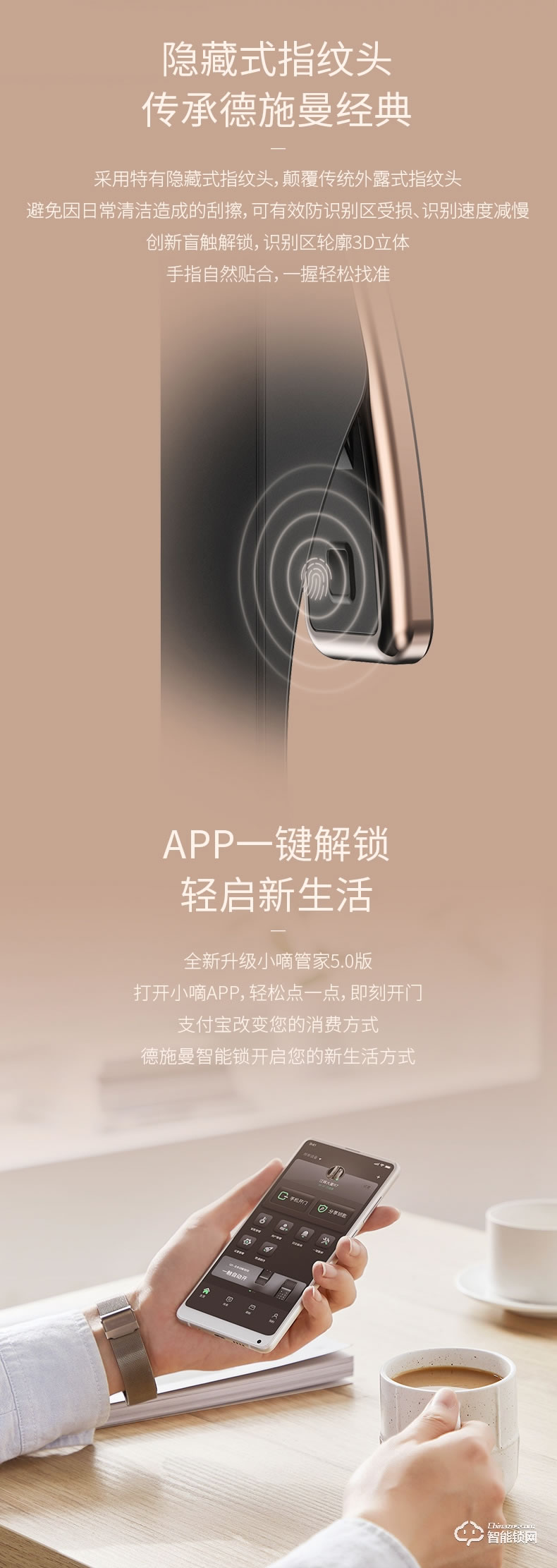 德施曼智能锁 天鹅Q2全自动WiFi智能锁