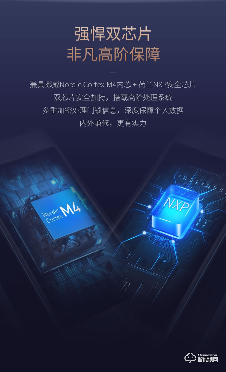德施曼智能锁 天鹅Q2全自动WiFi智能锁