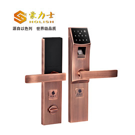 豪力士指纹锁 D3310F家用防盗门智能锁大门锁电子锁手机APP感应锁密码锁
