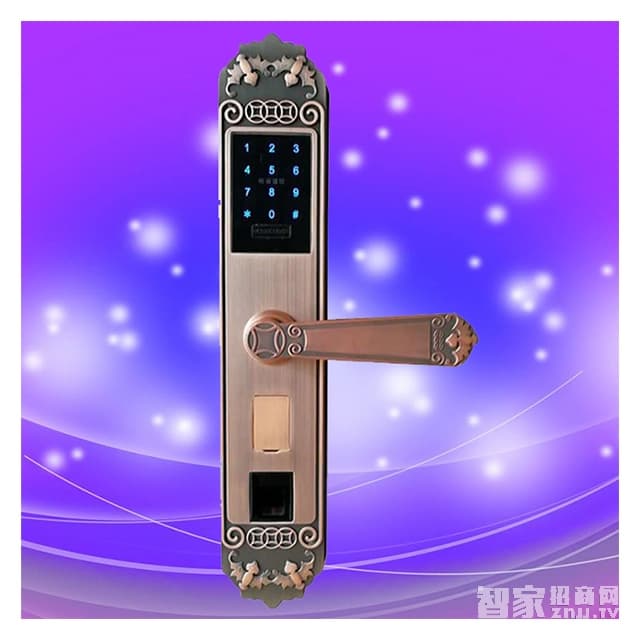彬睿智能锁 公寓大门防盗门锁 家用指纹密码锁