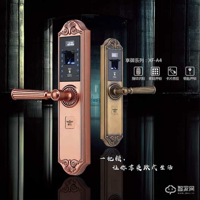 新飞指纹锁密码锁 刷卡锁 超C级防盗锁芯