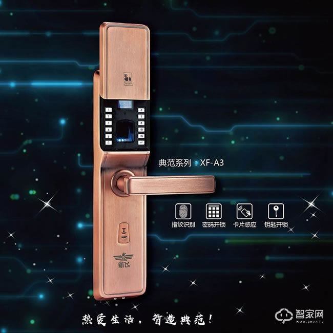 新飞防撬报警密码锁 刷卡锁 蓝光指纹识别模块