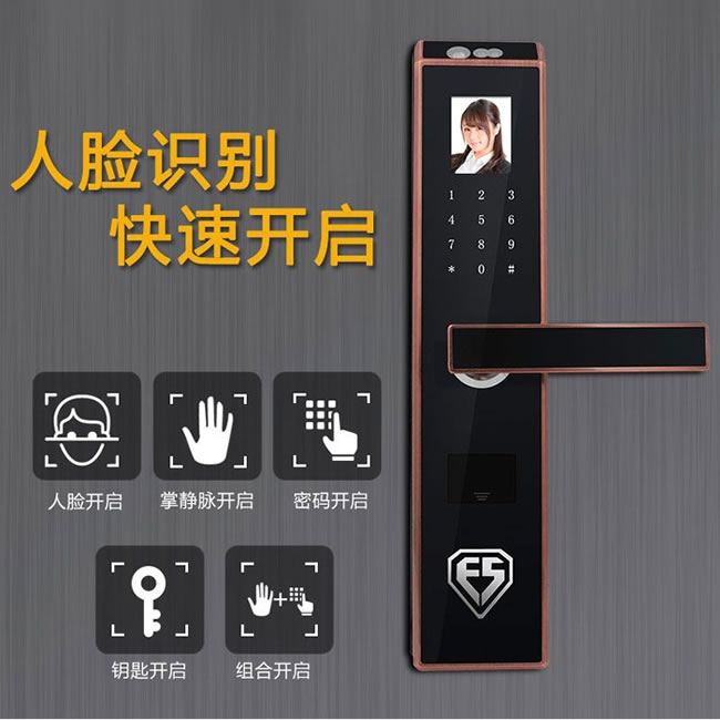 因硕掌静脉密码锁 人脸识别智能门锁