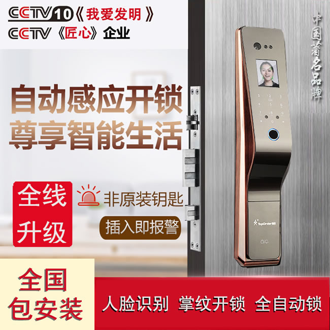 顶吉智能锁 TOP300R人脸识别门锁智能锁指纹密码锁