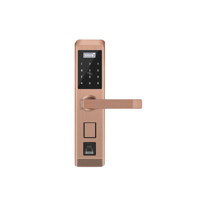 逢科智能锁 F-3002公寓防盗门锁APP远程智能锁