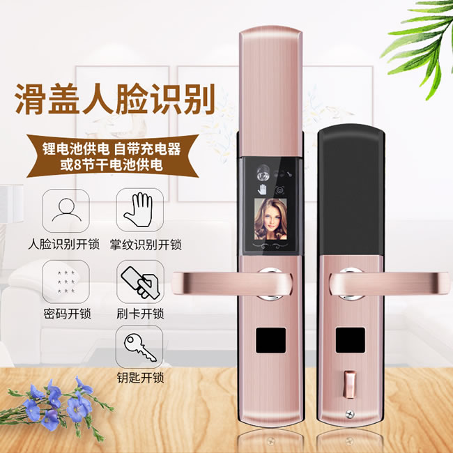 美鼎智智能锁 F2101人脸识别掌纹识别智能锁