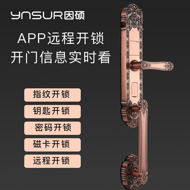 因硕指纹锁 D1欧式别墅大门智能密码锁
