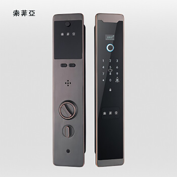 索菲亚智能锁 S10R防盗门家用磁卡密码锁