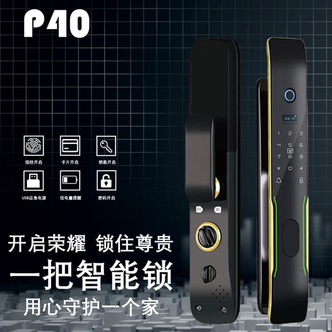 柏斯格智能锁 P40防盗门家用磁卡密码锁