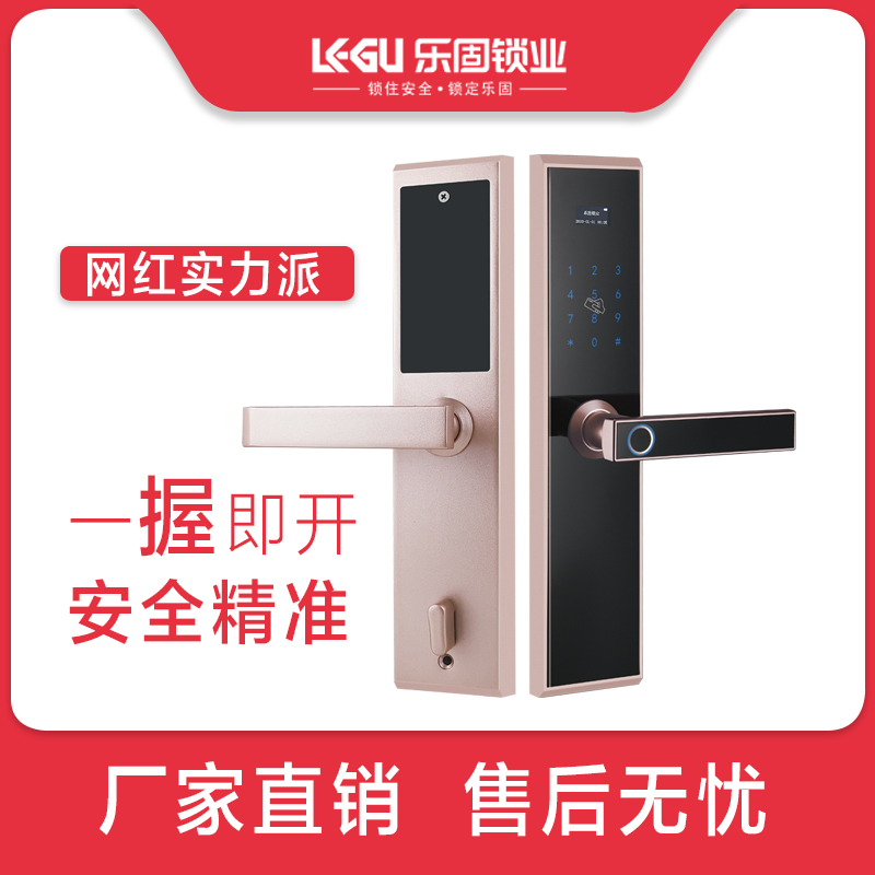 乐固智能锁 Q11全自动木门电子锁