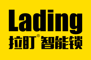 拉盯指纹锁