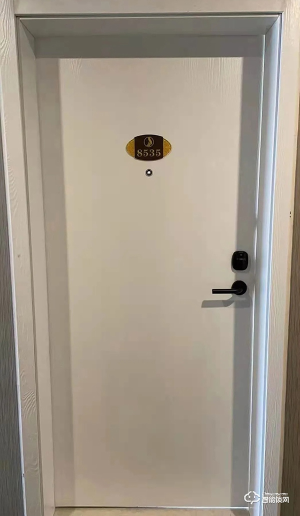 泰州逸安大酒店，搭配科裕分体式智能门锁，好看实用