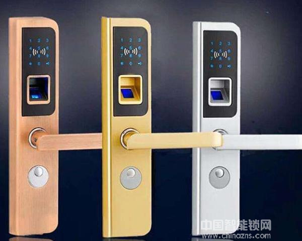 王力防盗门智能锁价格多少一把，数据表介绍一下吧