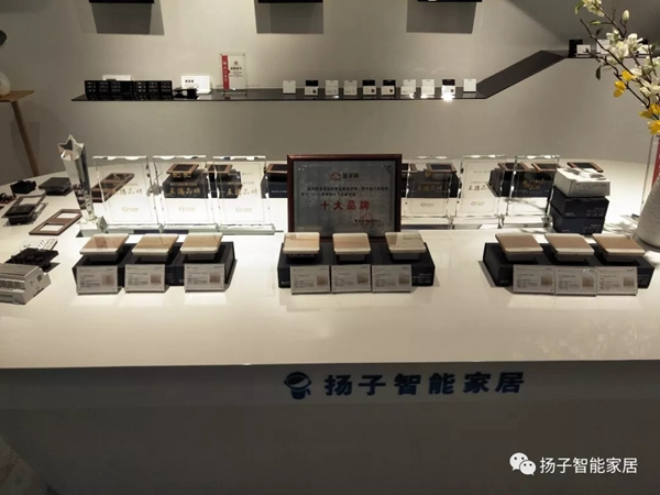 扬子智能家居告诉你，家里的电器会“偷”电