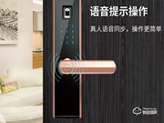 小家丁智能锁是几线品牌