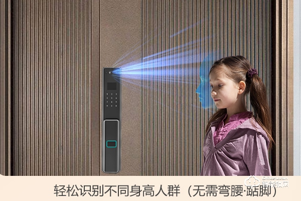 大华乐橙智能锁怎么样