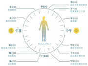 光线与昼夜节律 | 科学打造健康生物钟的照明环境